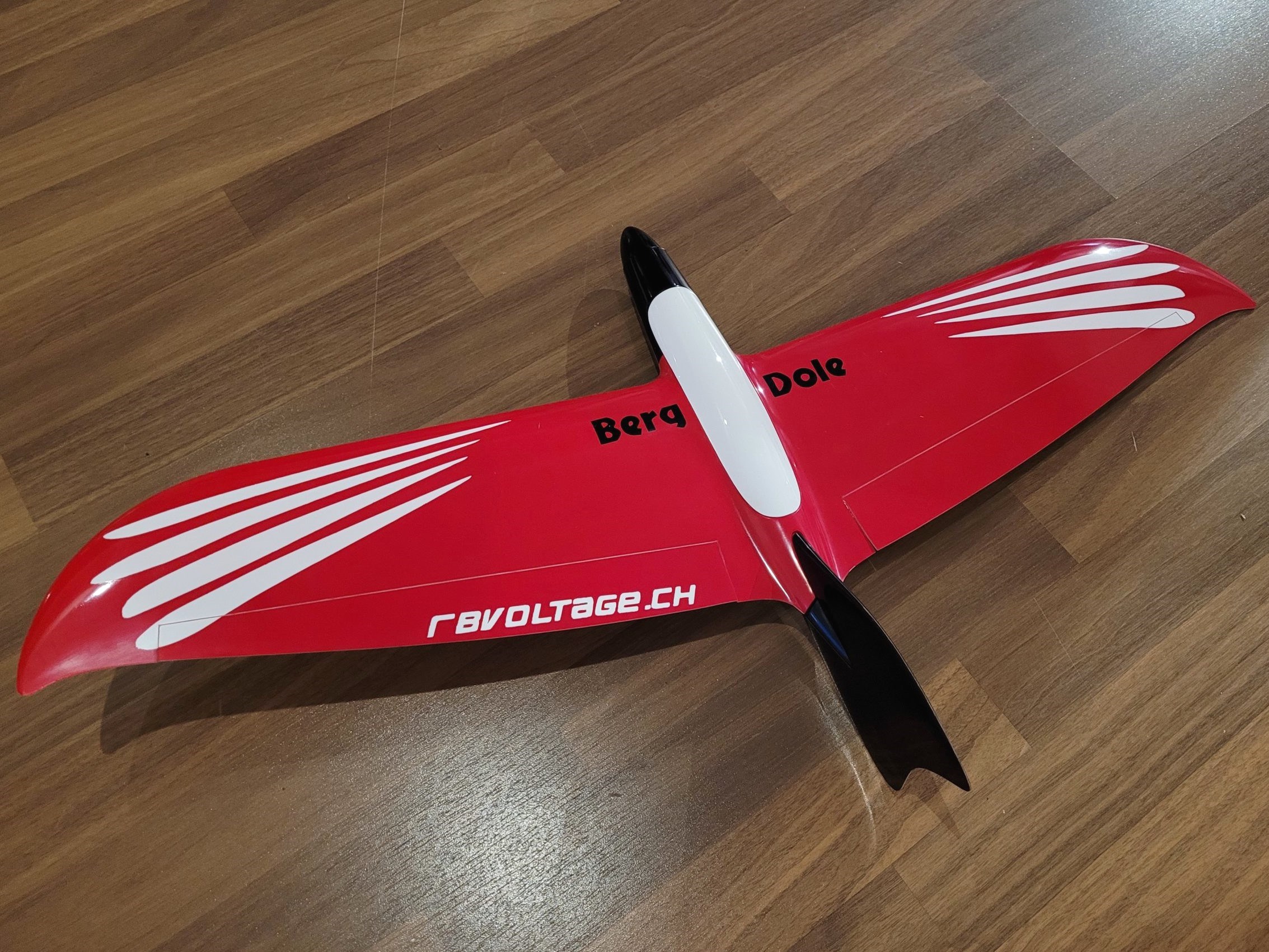 Voll GFK Elektro Segler Nurflügler Bergdole, Spannweite 800mm – Bild 2