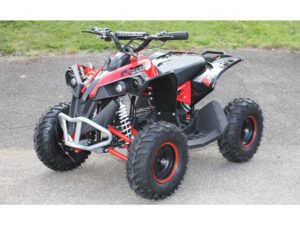 Elektro Midi-Quad  Renegade Brushless 1060W 36V