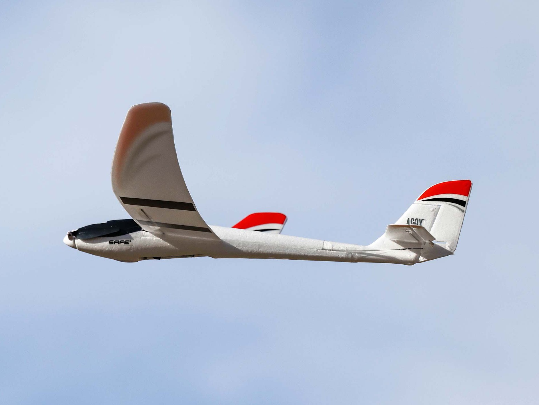 E-flite Elektrosegler UMX Radian, Spw 730mm, BNF Basic-Set - EFLU2950 – Bild 5