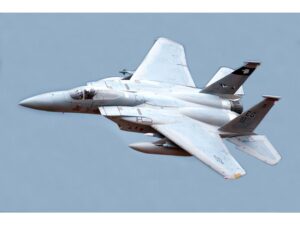 F-15 Eagle - Power-Version, 90mm EDF, Spw 965mm, PNP-Set von Freewing