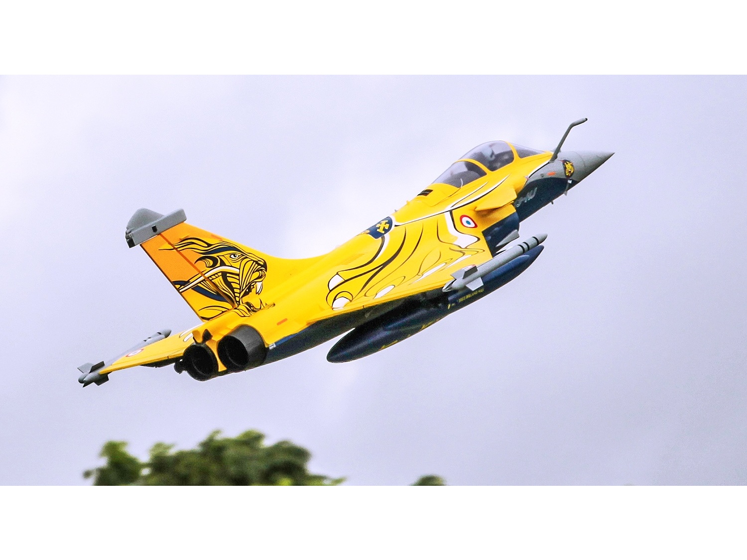 FMS EDF Jet 80mm Dassault Rafale - 974mm - PNP-Set - FMS131P – Bild 3