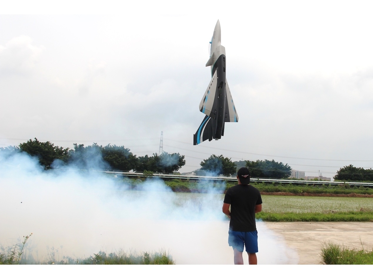Chengdu J-10-B - Turbine Ready, 3D-Turbinen Jet, Spw 1677mm mit EZFW, Pilot-RC – Bild 6