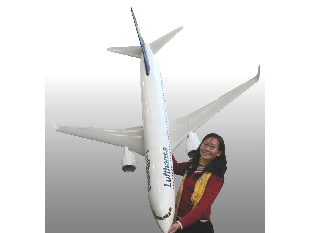 Höhenleitwerk zu Boeing 737, in weiss, Spw 2000mm von FlyFly