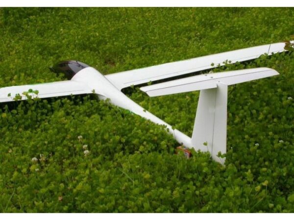Voll CFK Segler DG600 - Spw 3404mm von RCRCM – Bild 4