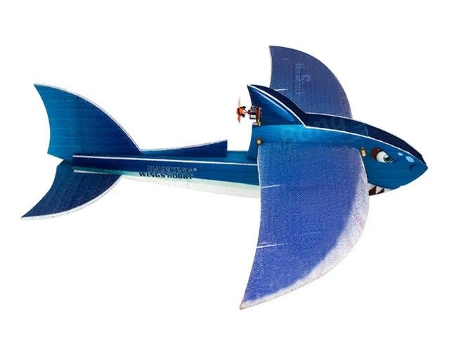 Mini Shark, Spw 1000mm, EPP, KIT-Bausatz mit Motor von DW-Hobby – Bild 3