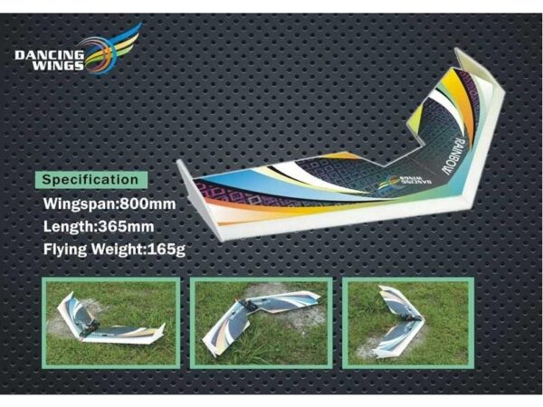 Rainbow Nurflügler, Spw 800mm, Kit-Bausatz EPP von DW-Hobby