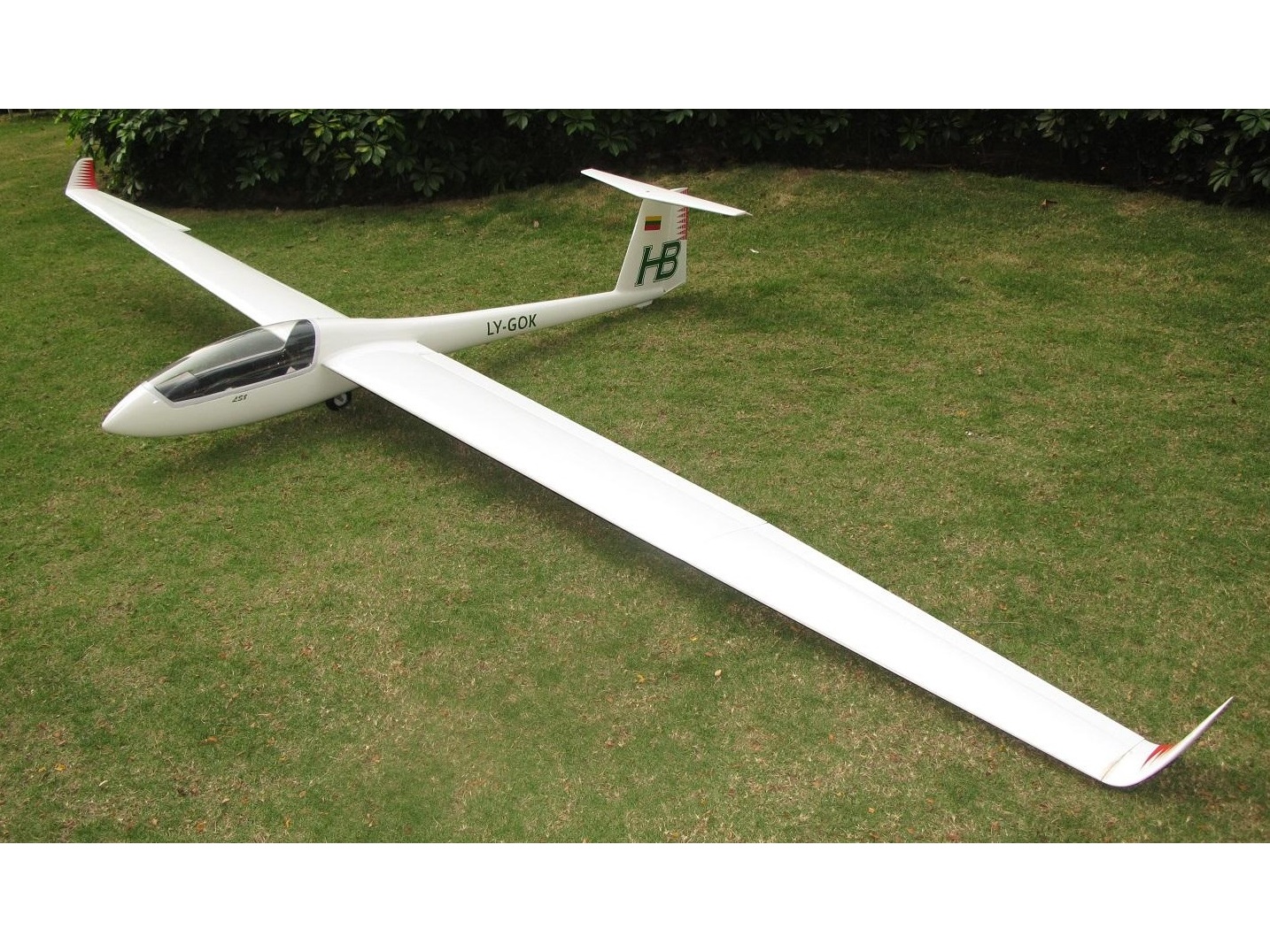 Elektrosegler LS8, Spw 4000mm, ARF-Set, FlyFly – Bild 2