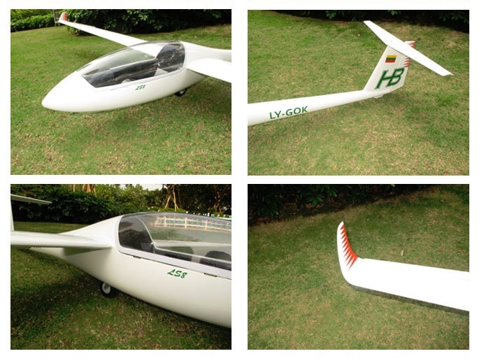 Elektrosegler LS8, Spw 4000mm, ARF-Set, FlyFly – Bild 6
