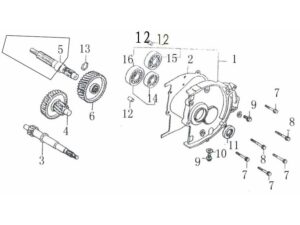 Zwischenwelle 1221200801 (4)
