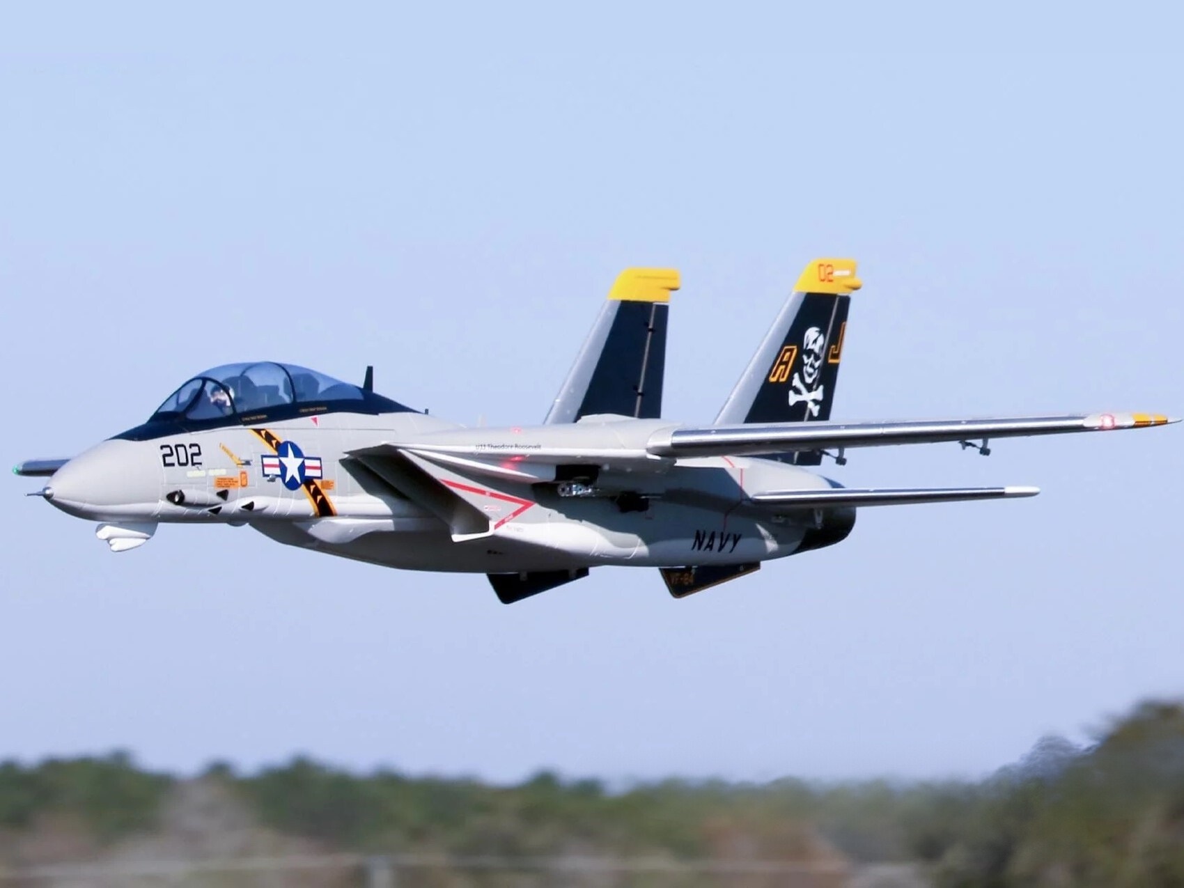 F-14 Tomcat, 64mm EDF Jet, Spw 1250mm, 6S PNP-Set, Freewing – Bild 4