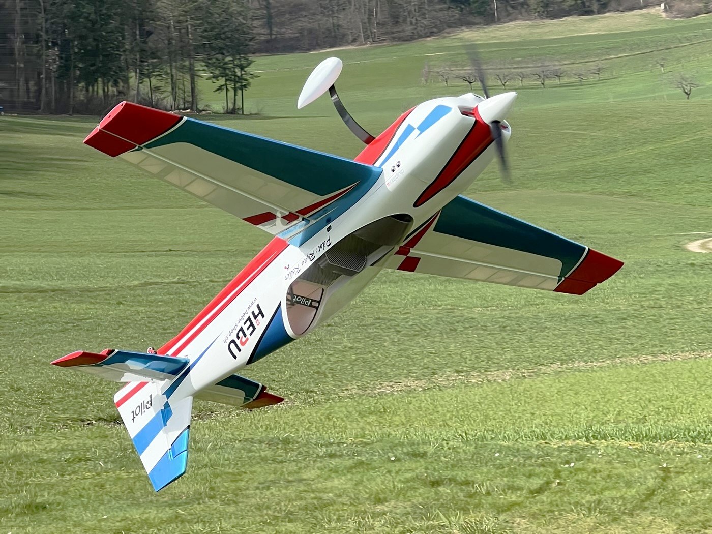EXTRA NG-115 - CFK / Carbon Competition, 150ccm Spw 2920mm, ARF-Set PILOT-RC – Bild 3