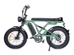 Vorführmodell Elektrobike Fatbike Elektrovelo T20-D - Fahrrad 500 Watt - 25 km/h