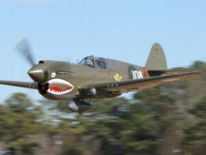 Curtiss P-40 Warhawk, 35-60ccm, Spw 2280mm, ARF-Set, CYModel