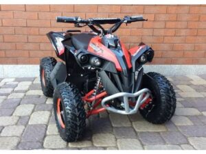 Betriebsbereit Midi Quadracer - Renegade 3C - mit 110ccm und Rückwärtsgang