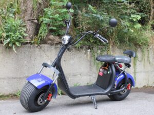 Betriebsbereit Citycoco Elektro Trotti FAT-BOY 500 Watt -25km/h 2-Plätzer blau
