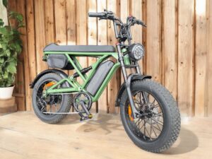 Elektrobike Fatbike Elektrovelo T20-D - Fahrrad 500 Watt - 25 km/h