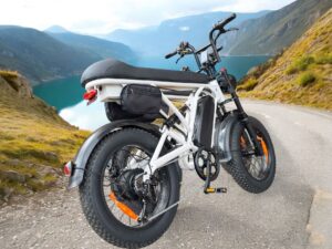 Betriebsbereit Elektrobike Fatbike Elektrovelo T20-D - Fahrrad 500 Watt - 25 km/h